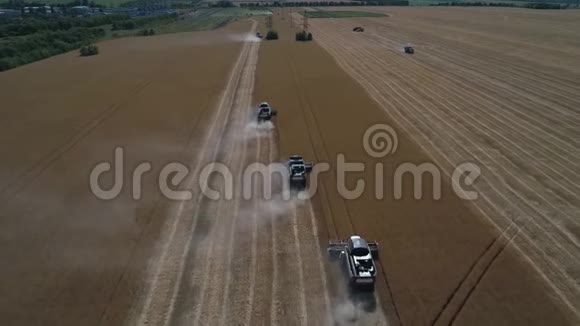 收割机在田间作业联合收割机在田野上采集成熟的金色小麦农业概念视频的预览图