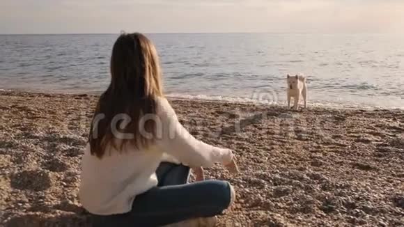 穿着白色毛衣的女孩扔出石头和她的西巴伊努可爱的雄性宠物在海洋海岸慢动作视频的预览图