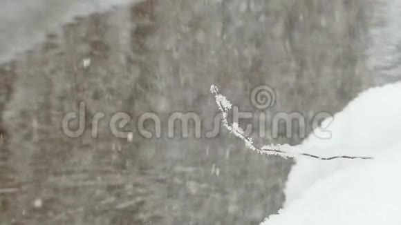 在一条不结冰的小溪的冬天的岸边孤独的树枝上覆盖着晶莹的雪花视频的预览图
