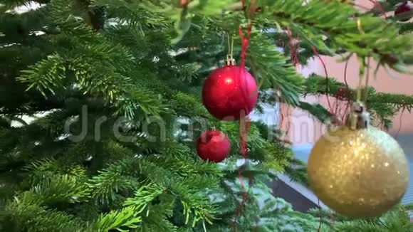 用圣诞球装饰的树视频的预览图