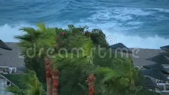 沙滩上的大风和海上或海洋上的风暴视频的预览图