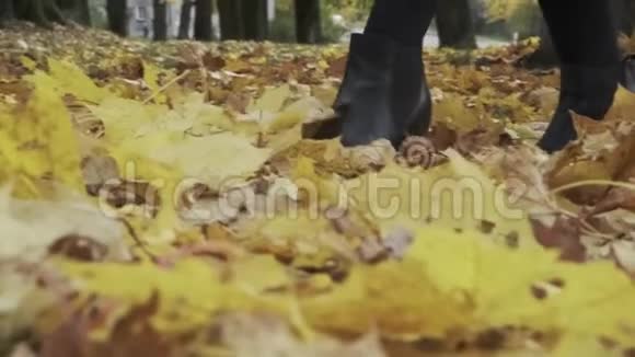 一个女人走在秋天公园的落叶上落叶开始了视频的预览图
