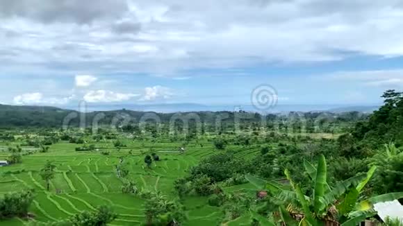 一个大的绿色稻田与高山火山阿贡背景图印度尼西亚4k亚西亚宅谷视频的预览图