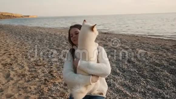 可爱的女孩穿着白色毛衣拥抱她的白色可爱的Shibainu小狗并在海滩上展示他的爱慢动作视频的预览图