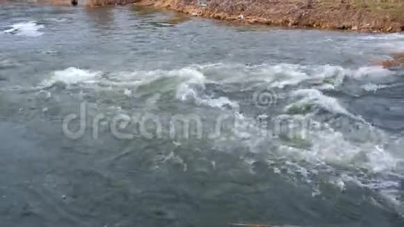 美丽的清水在山河近岸流淌近景视频的预览图