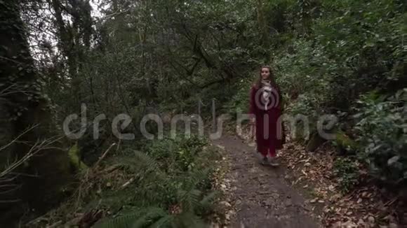 在俄罗斯索契红豆杉绿林中行走的女人视频的预览图