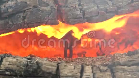 在原木之间炽热的火焰中你可以看到一条金属链视频的预览图