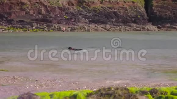英国德比郡黑狗游泳海滩场景视频的预览图
