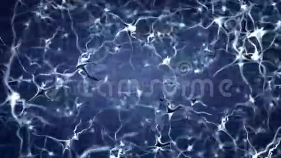 神经元网络活动视频的预览图