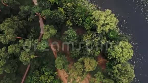 无人驾驶飞机在绿色森林的湖面上飞行视频的预览图