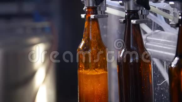 小企业和制造理念啤酒厂装啤酒瓶视频的预览图