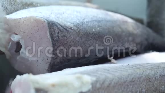 新鲜冰冻的灰鱼在白色铁板中解冻视频的预览图