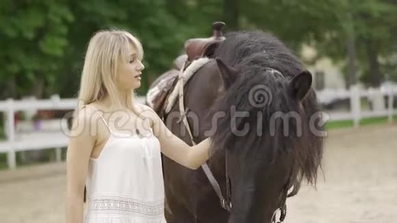 马会上的千禧妇女和马抚摸着马朝他微笑视频的预览图