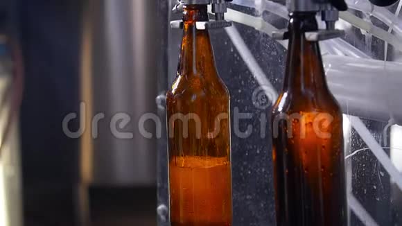 小企业和制造理念啤酒厂装啤酒瓶视频的预览图