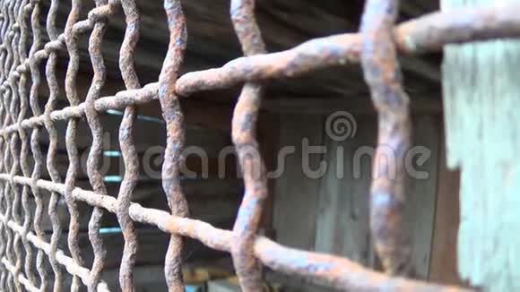 清空旧生锈的宠物金属笼子视频的预览图