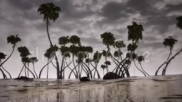 暴风棕榈树海洋视频的预览图