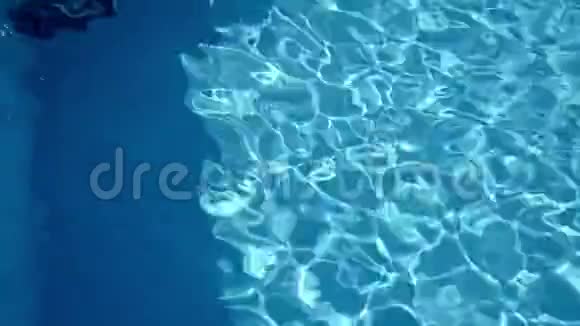 游泳池里的水有阳光反射视频的预览图