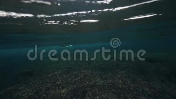 水面下冲浪者在清水中划水的景色视频的预览图