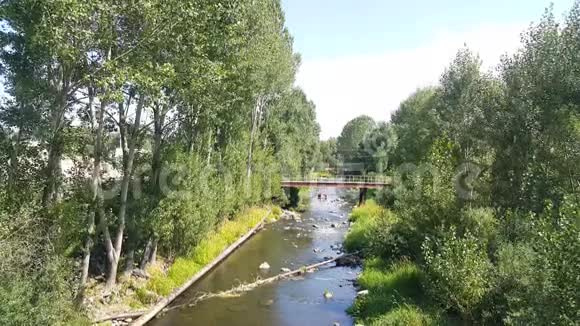 这条河穿过格霍维特村河水静静地流淌河边高大树木的叶子从光中移动视频的预览图