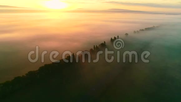 空中观景在雾中朝太阳飞去4K视频的预览图