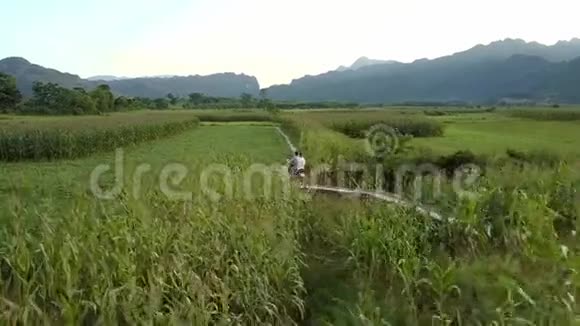 空中夫妇骑着滑板车在农村土地上沿着玉米地行驶视频的预览图