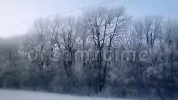 雪天从火车窗口观看白雪覆盖了风景和森林视角拍摄旅费视频的预览图