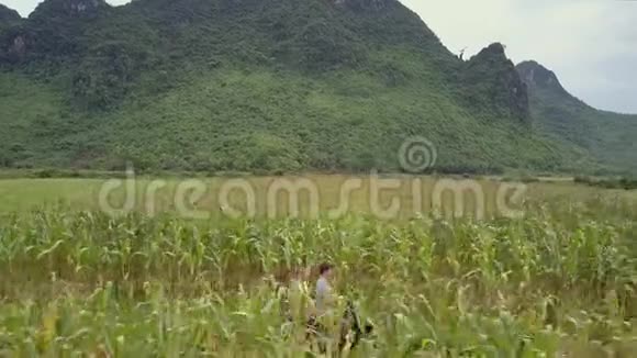 一对骑着滑板车沿着山脚下的玉米地视频的预览图