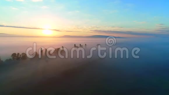 清晨雾蒙蒙的景观和雾沿地平线移动视频的预览图