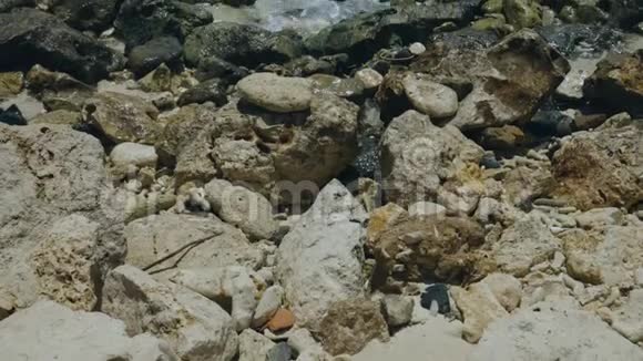 壮观的大西洋绿松石波在石头上破碎美丽的自然景观背景阿鲁巴岛视频的预览图