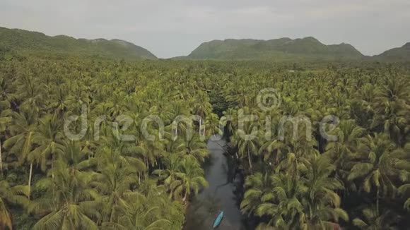 在椰林农场的中心山山和河流的空中绿色风景视频的预览图