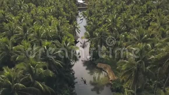 一个宁静的乡村地方的空中镜头有广阔的椰子种植园和河流视频的预览图