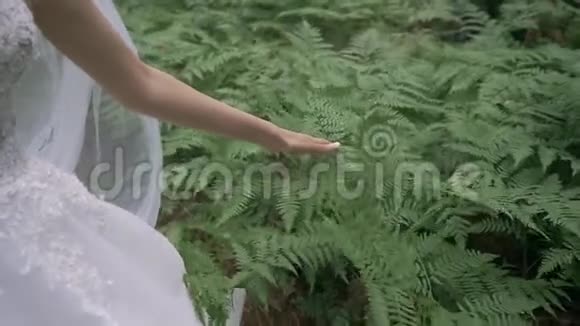 新娘是手手上有一个漂亮的指甲滑在蕨类植物的叶子上视频的预览图
