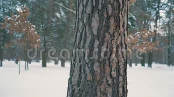 公园里的红发女孩玩得很开心躲在一棵4K大树后面视频的预览图