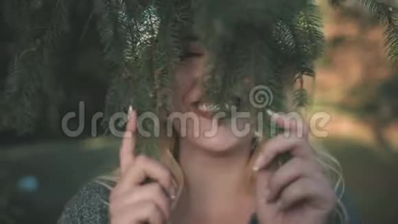 可爱的金发女郎微笑躲在枞树后面视频的预览图