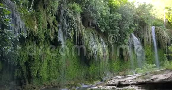 靠近水流沿着库尔逊鲁瀑布下的植物4k视频的预览图