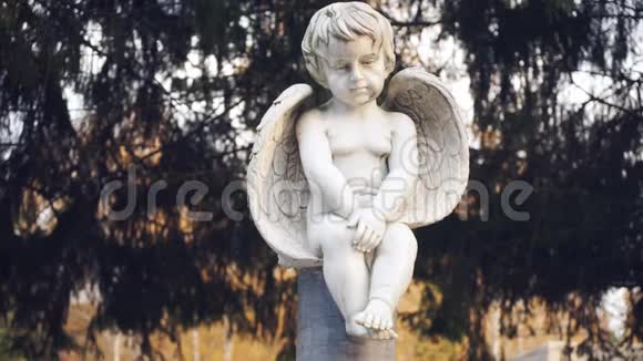 小天使雕像视频的预览图