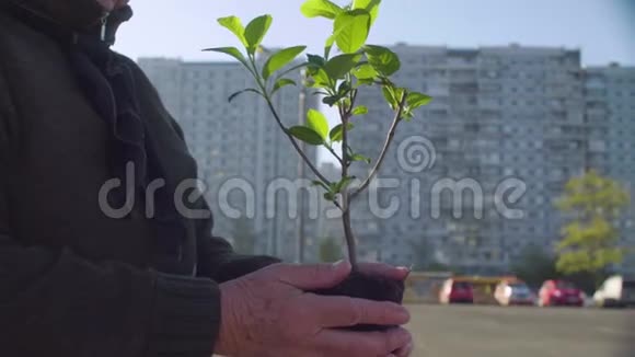 城市里拿着小树的高级志愿者视频的预览图