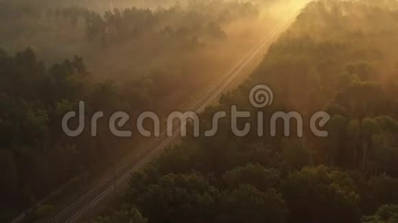 火车在黎明时分穿过森林阳光阳光照亮了森林上空的雾气视频的预览图