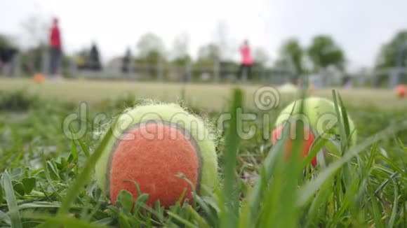 网球躺在球场的草地上家庭打网球背景复制空间视频的预览图
