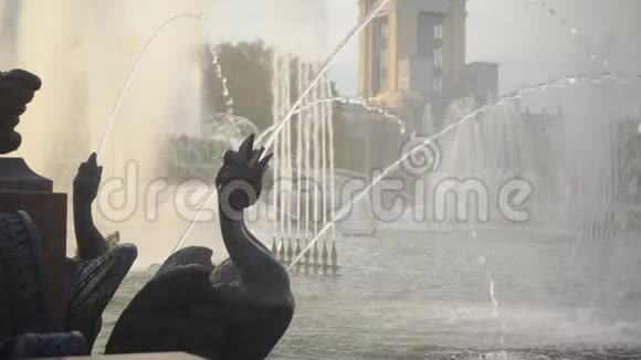 在一个巨大的鹅形喷泉中水流拍打着视频的预览图