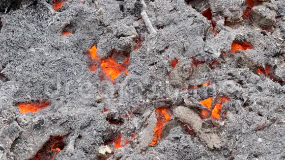 灰烬和煤从强烈的火视频的预览图