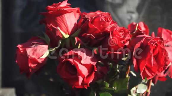 一束干红玫瑰视频的预览图