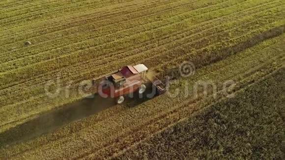 联合收割机在一个黄色的农场里工作从上到下从无人驾驶飞机上观看电影视频的预览图