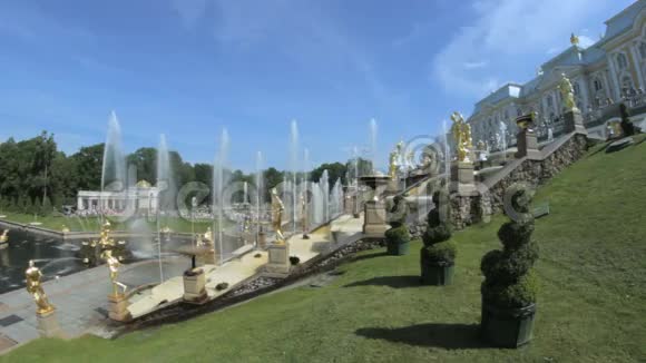 彼得霍夫公园著名的大瀑布展示中央瀑布喷泉许多金雕视频的预览图