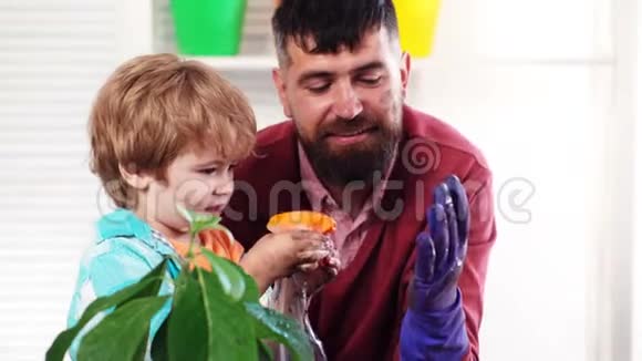 可爱的孩子帮助他的父亲照顾植物春观念自然与关怀抱着幼苗的小孩视频的预览图