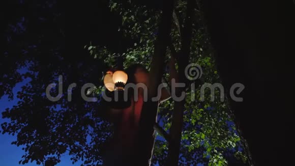 小女孩晚上爬上树上的木楼梯视频的预览图
