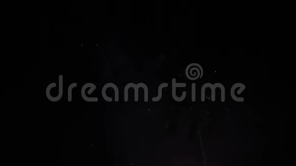 烟花在夏日的夜空中绽放视频的预览图