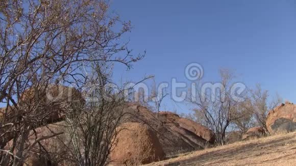 ErongoMoutain景观有岩石和干燥的灌木丛视频的预览图