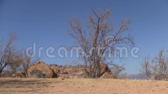 ErongoMoutain景观有岩石和干燥的灌木丛视频的预览图