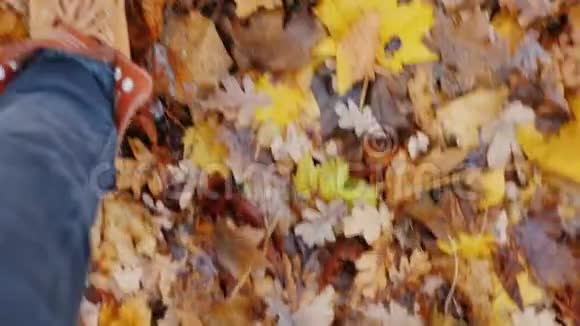 穿靴子的雌腿在秋天落叶中行走视频的预览图